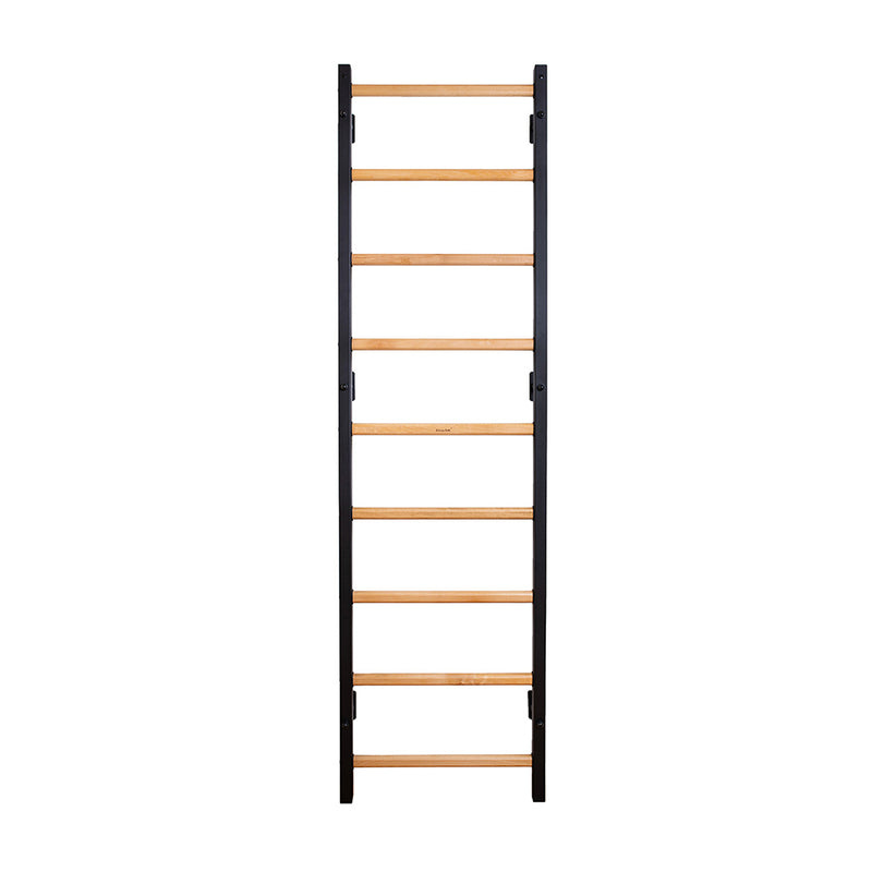 BenchK Steel Swedish Ladder - Black